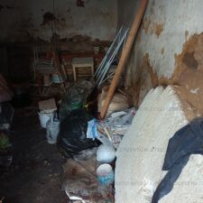 IMG_20241007_153629_694