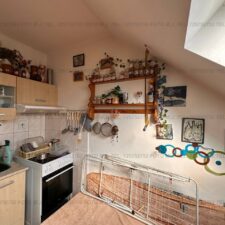 photo_5987999617347864858_y